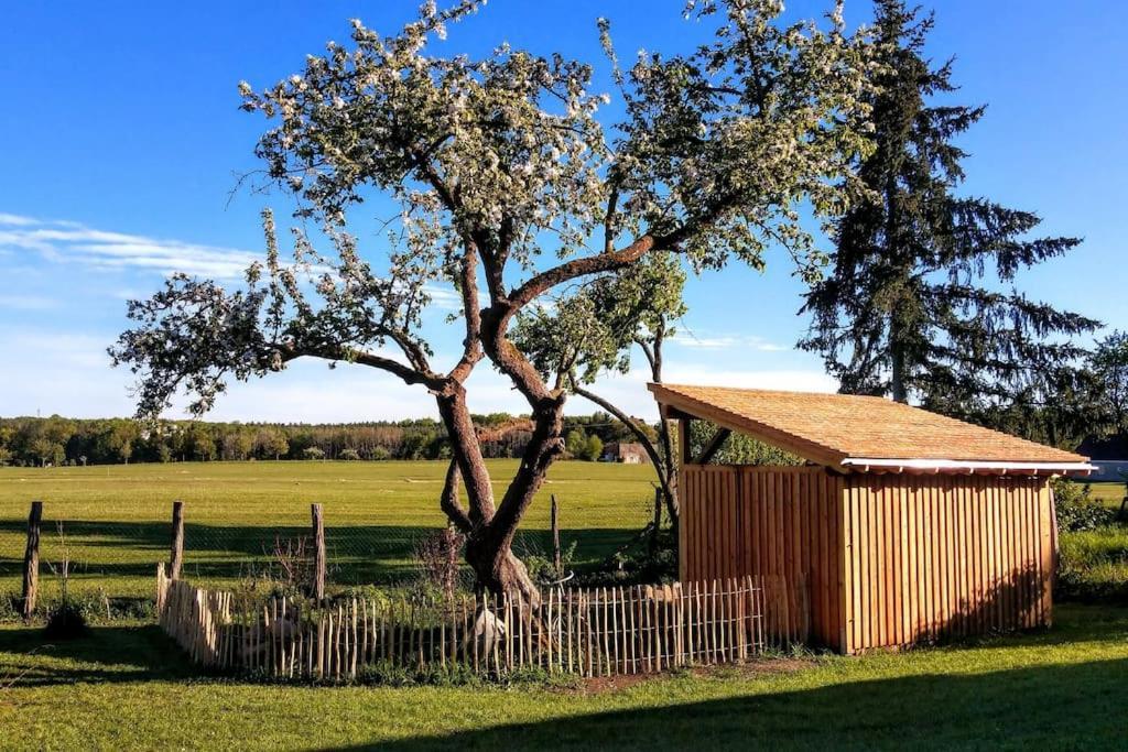 Ferienwohnung Alte Schule Chorin Schorfheide Exteriör bild